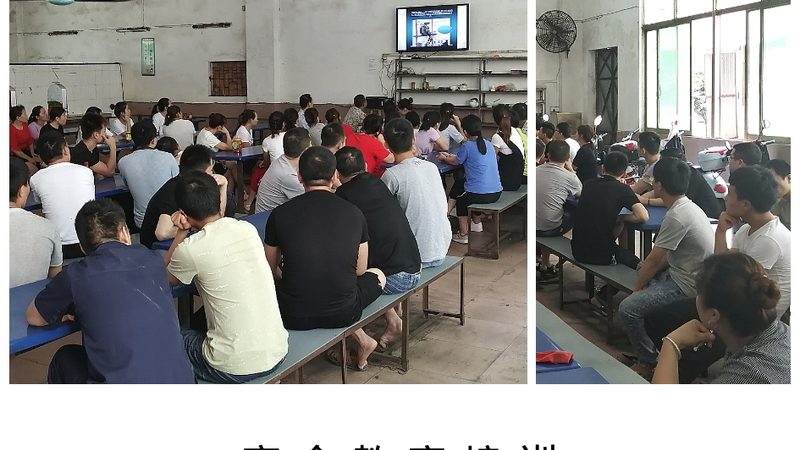 自考本科考研政策新变化：解读政策背后的机遇与挑战